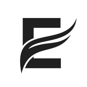 Letter E Wing Logo Design_ Transportation Logotype
